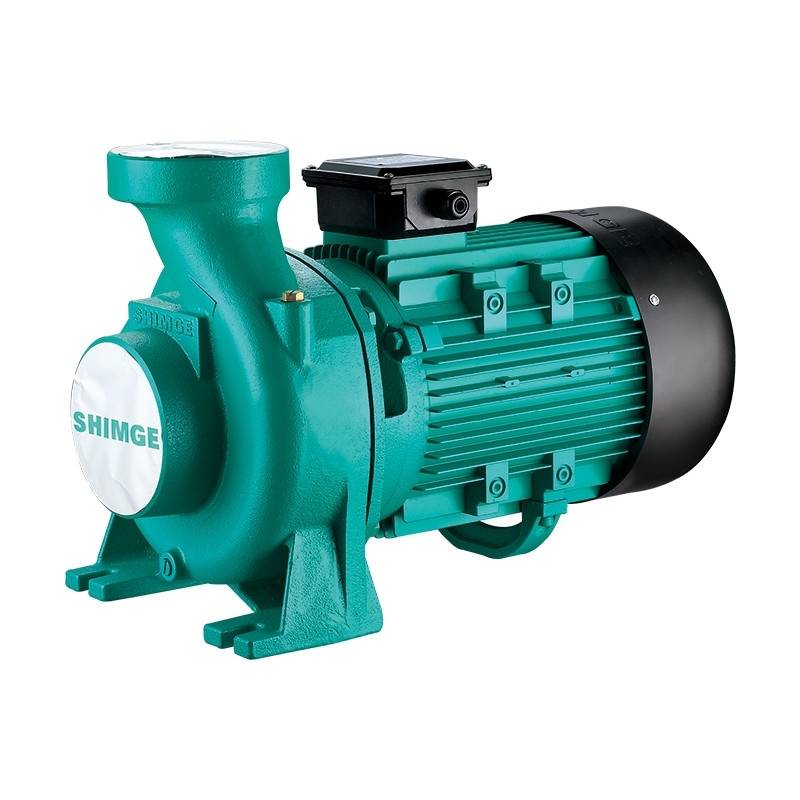 Máy bơm lưu lượng Shimge 4SHF3000