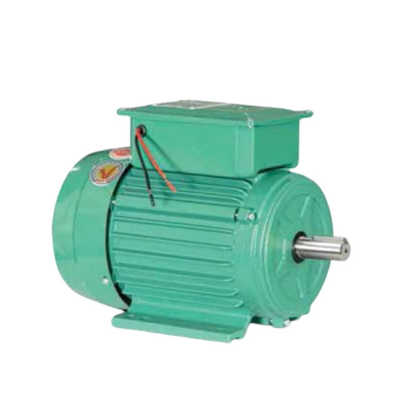 Motor vỏ gang Hồng Ký PLC-VSM1.114 (1.5HP-220V)